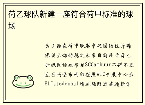 荷乙球队新建一座符合荷甲标准的球场